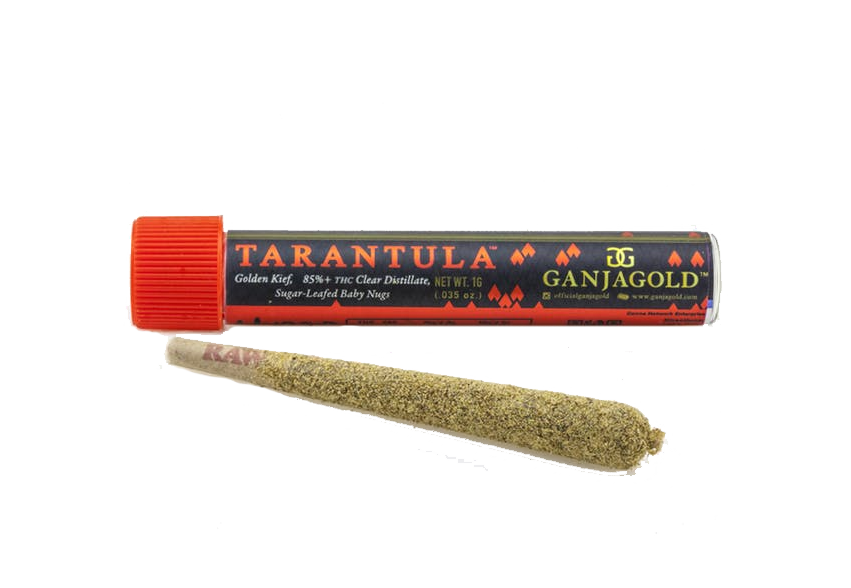 Banana Shack - Infused Pre-roll