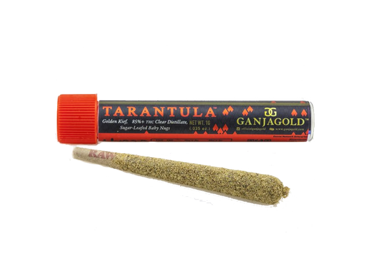 Banana Shack - Infused Pre-roll